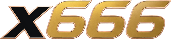 x666